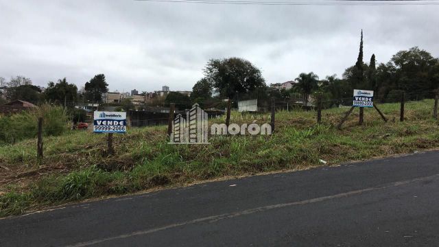 Foto Imóvel - Terreno à Venda No Jardim Alphaville - Estrela