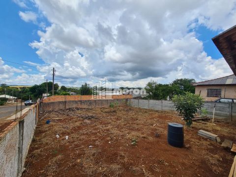 Terreno De Esquina à Venda No Santa Monica