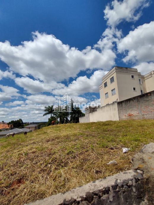 Foto Imóvel - Terreno à Venda No Jardim Carvalho