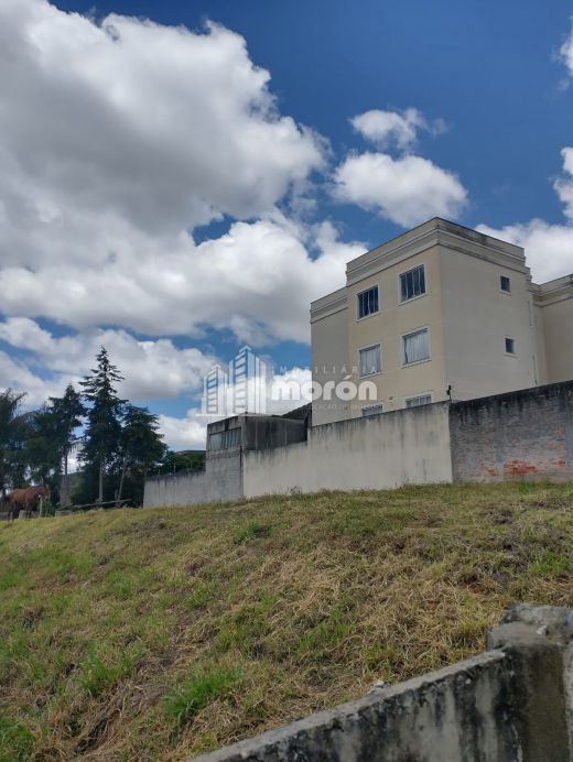 Terreno à Venda No Jardim Carvalho