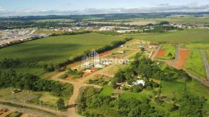 <strong>TERRENO À VENDA EM UVARANAS - GSP LOTEAMENTO</strong>