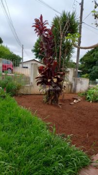 Terreno à Venda Em Oficinas