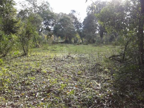 <strong>TERRENO À VENDA EM SÃO JOÃO DO TRIUNFO</strong>