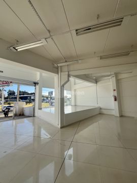 Sala Comercial Para Alugar Na Siqueira Campos - Comercial Mm