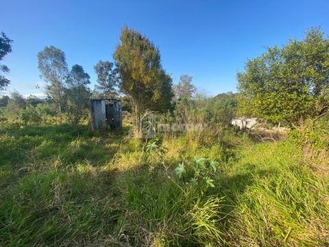 Terreno A Venda Em Uvaranas