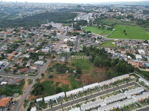 Terreno / área à Venda Na Avenida Siqueira Campos - Uvaranas