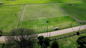 Foto Imóvel - área A Venda Em Carambeí