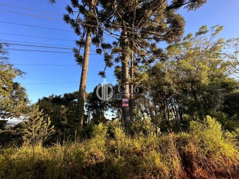 Terreno Na Chácara Urbana No Santa Teresa