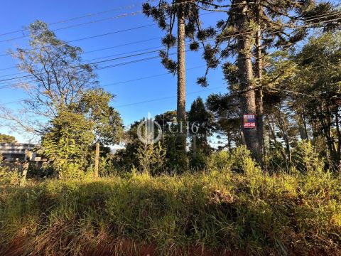 Terreno Na Chácara Urbana No Santa Teresa