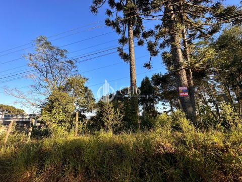 Terreno Na Chácara Urbana No Santa Teresa