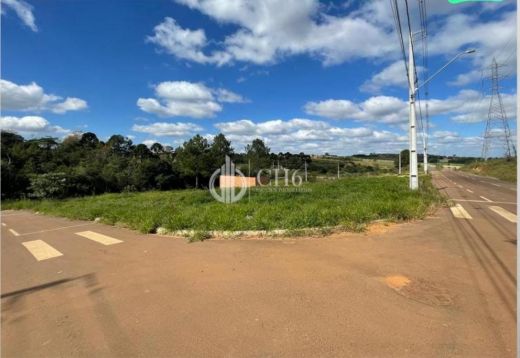 Foto Imóvel - Terreno Em Uvaranas