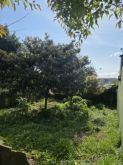 Terreno central - Foto 4