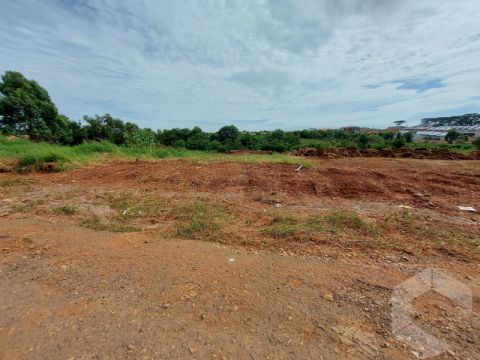 Terreno Cara Cará - Rua Massaranduba