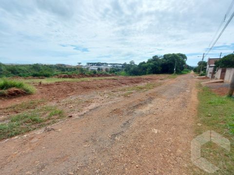 Terreno Cara Cará - Rua Massaranduba