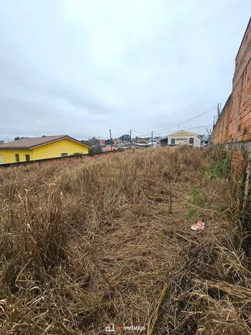 Foto Imóvel - Terreno No Contorno