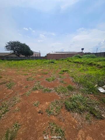 Foto Imóvel - Excelente Terreno Próximo A Br 376 No Santa Clara