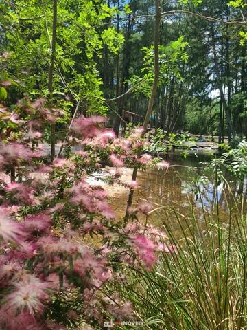 Foto Imóvel - Linda Chácara Na Estrada Para O Alagado