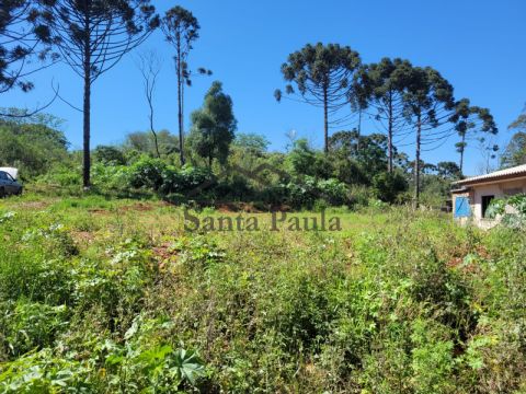 Terreno - Colônia Dona Luiza