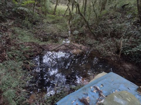 Chácara Em Carambeí - Catanduvas