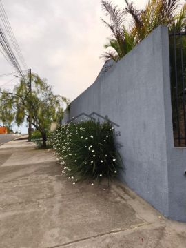 Casa - Jardim Panorama