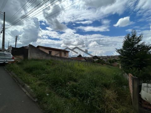 Excelente Terreno Em Rua Asfaltada - Panorama