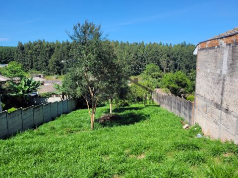 Amplo Terreno - Colônia Dona Luiza