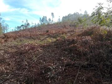 Foto Imóvel - Terreno Rural - Município De Tigabi