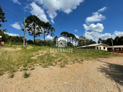 <strong>VENDA - TERRENO EM COLONIA DONA LUIZA</strong>