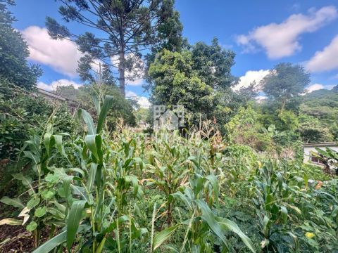 Venda-terreno Em Neves