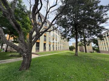 Foto Imóvel - Apartamento No Monteiro Lobato