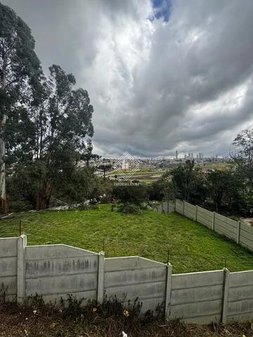Foto Imóvel - Terreno - Olarias