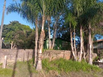 Foto Imóvel - Terreno - Chapada