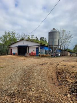 Excepecional Chácara A Venda Colonia Sutil