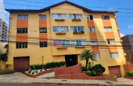 Foto Imóvel - Apartamento 3 Quartos à Venda No Centro - Ed. Dona Edith