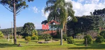 Foto Imóvel - Chácara Em Ponta Grossa