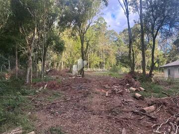 Foto Imóvel - Terreno De 2.500 M2 - Região Colônia Dona Luiza
