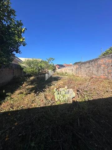 Foto Imóvel - Terreno 100% Murado - Avenida Siqueira Campos
