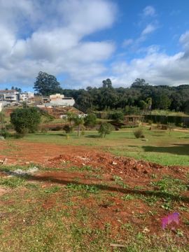 Terreno - Colônia Dona Luíza  - Condomínio Vale Dos Vinhedos