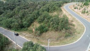 <strong>Terreno para Venda em Almirante Tamandaré, Planta Almirante</strong>