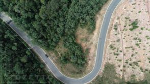 <strong>Terreno para Venda em Almirante Tamandaré, Planta Almirante</strong>