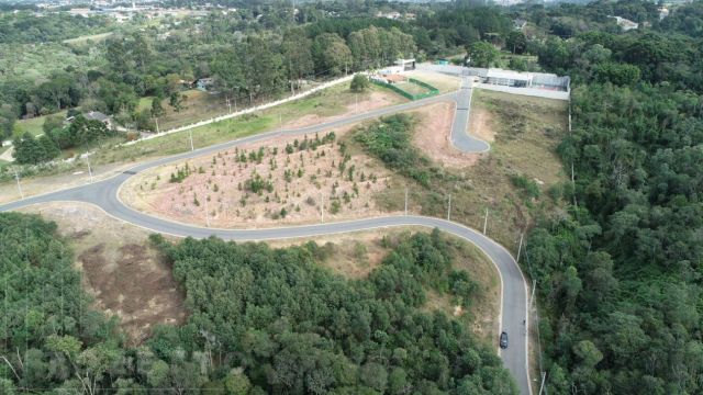 <strong>Terreno para Venda em Almirante Tamandaré, Planta Almirante</strong>