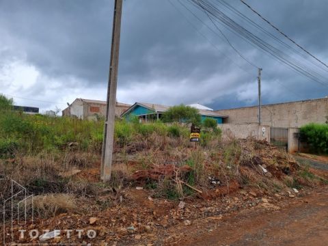 Terreno à Venda Bairro Periquitos