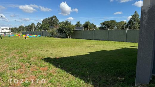 <strong>Excelente Terreno no Terras Alphaville</strong>