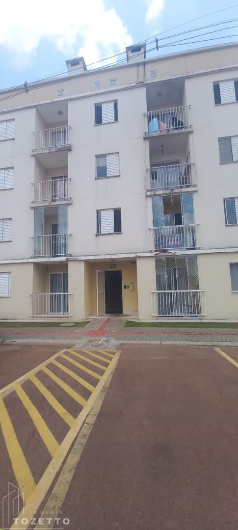 <strong>Oportunidade de Ouro</strong>