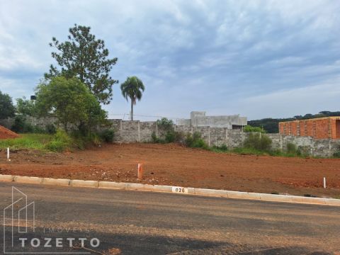 <strong>Terrenos à Venda no Parque das Palmeiras - Contorno</strong>