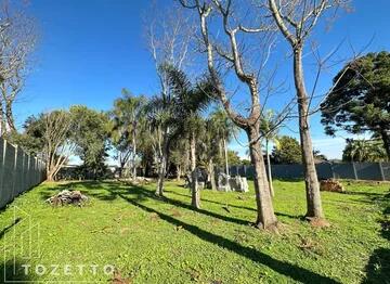 Foto Imóvel - Lote Ideal Para Casa De Campo- Colônia Dona Luiza