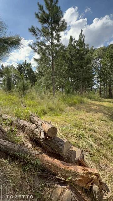 Foto Imóvel - Terreno à Venda Em Itaiacoca - Excelente Oportunidade!