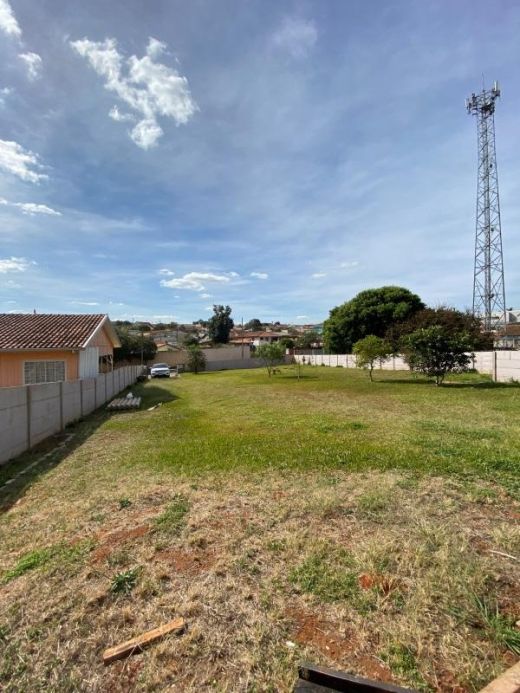 Terreno Para Venda Em Ponta Grossa, Santa Paula, 3 Dormitóri