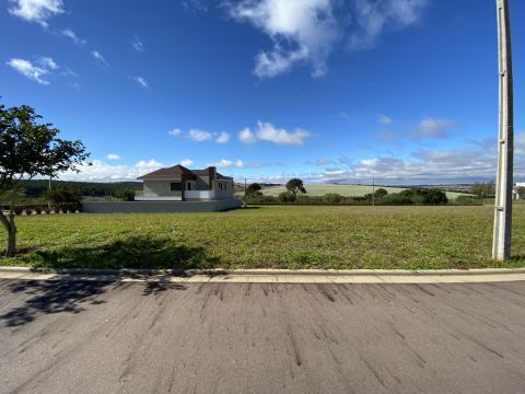 Terreno Para Venda Em Ponta Grossa, Alphaville