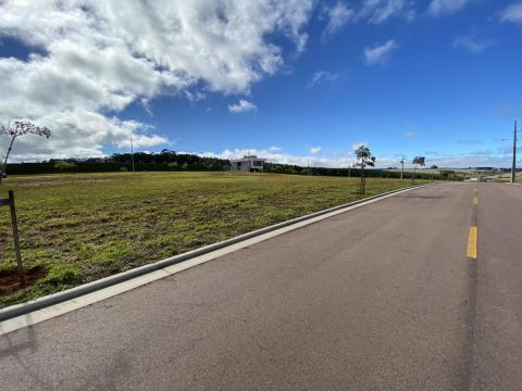 Terreno Para Venda Em Ponta Grossa, Alphaville